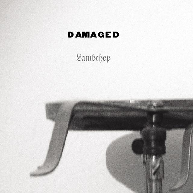 Album cover art for Damaged