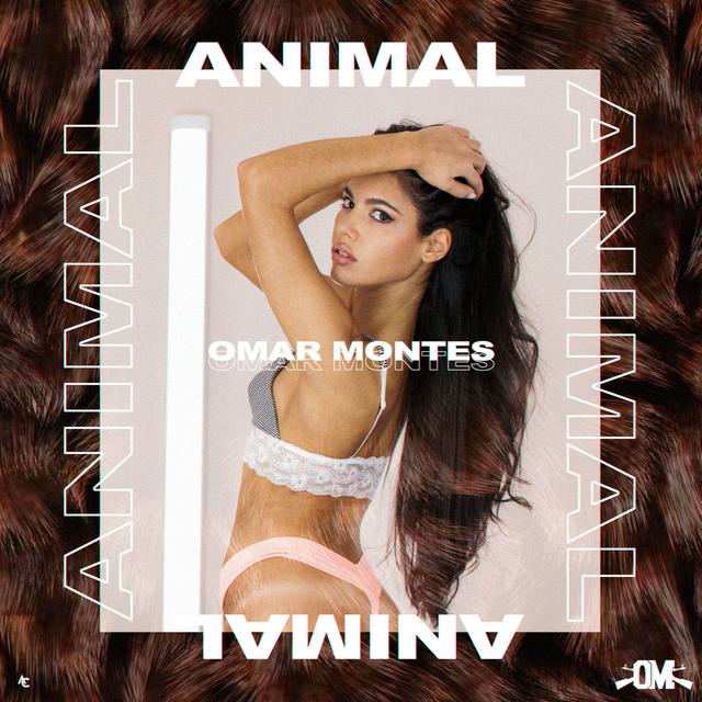 Album cover art for Animal