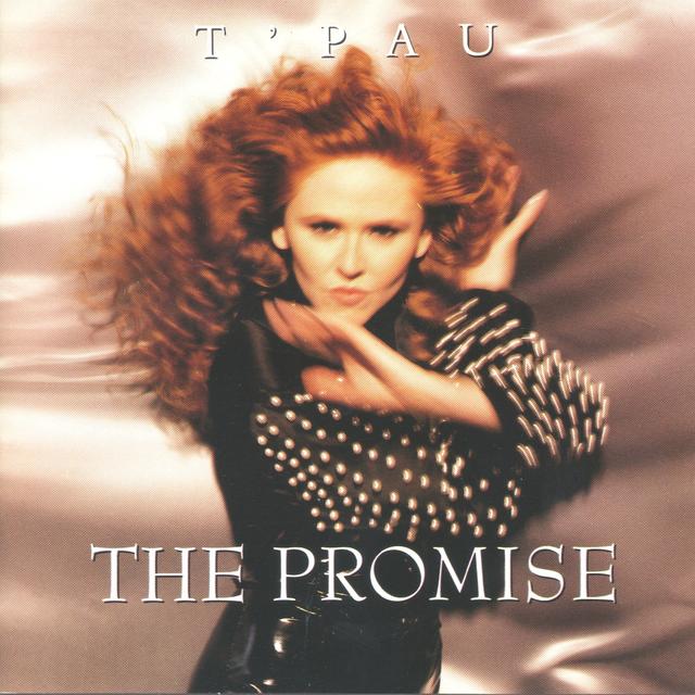 Album cover art for The Promise