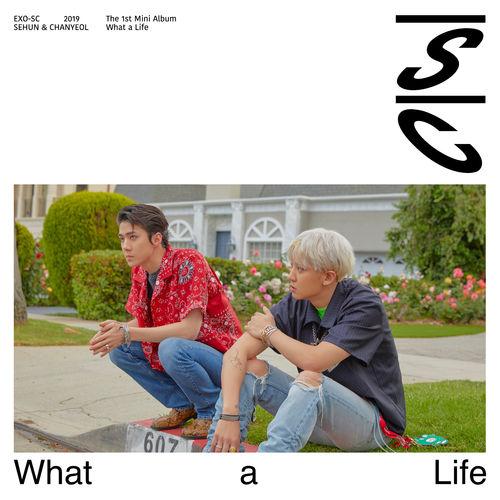 Album cover art for What a life