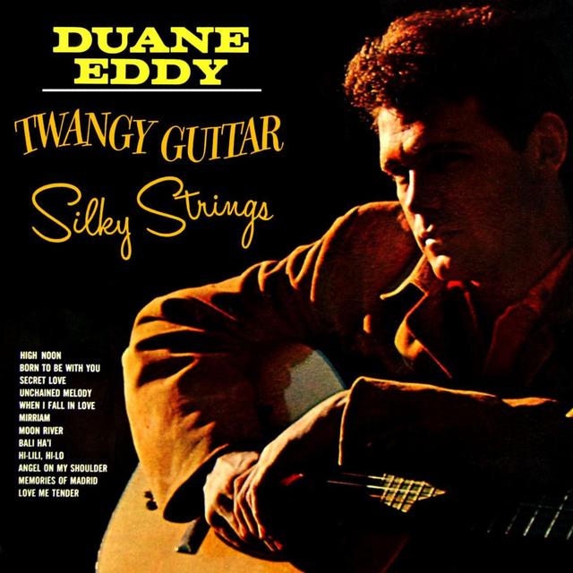 Album cover art for Twangy Guitar - Silky Strings