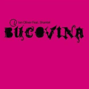 Album cover art for Bucovina