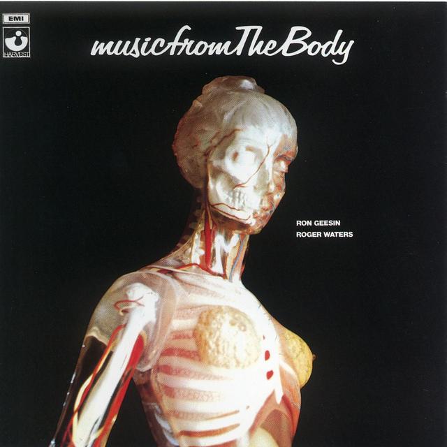 Album cover art for Music From the Body