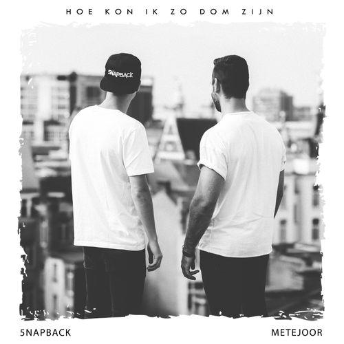 Album cover art for Hoe Kon Ik Zo Dom Zijn