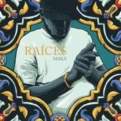 Album cover art for Raíces