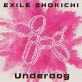 Album cover art for Underdog