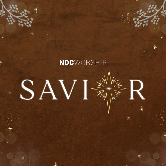 Album cover art for Savior