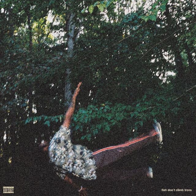 Album cover art for fish don’t climb trees