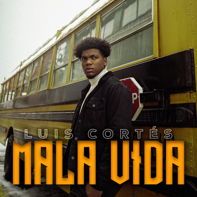 Album cover art for Mala Vida