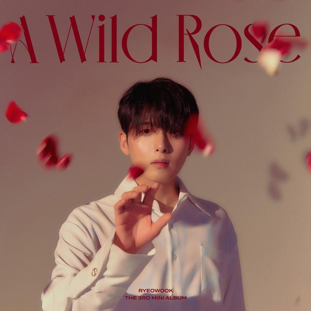 Album cover art for A Wild Rose