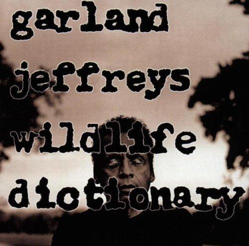 Album cover art for Wildlife Dictionary