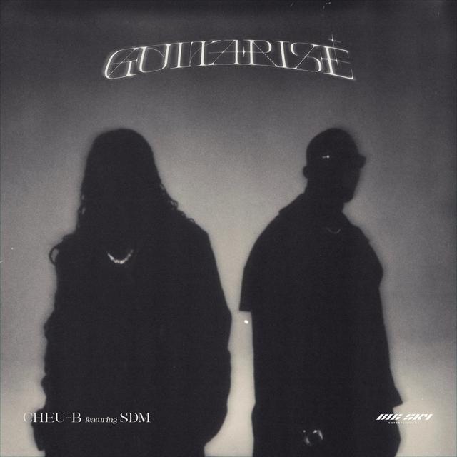 Album cover art for Guitarisé