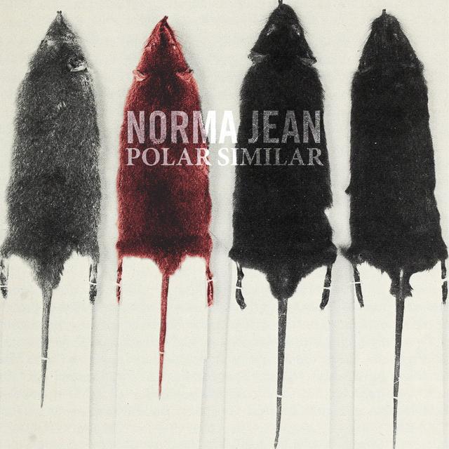 Album cover art for Polar Similar