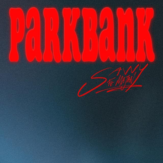 Album cover art for Parkbank