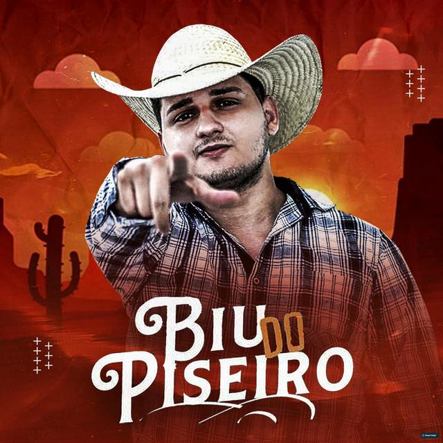 Album cover art for Biu do Piseiro