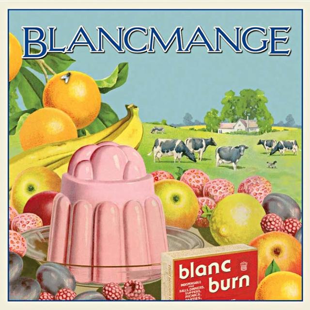 Album cover art for Blanc Burn