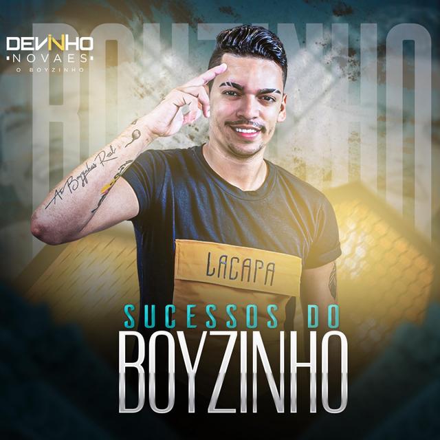 Album cover art for Sucessos do Boyzinho