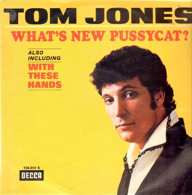 Album cover art for What's New Pussycat?