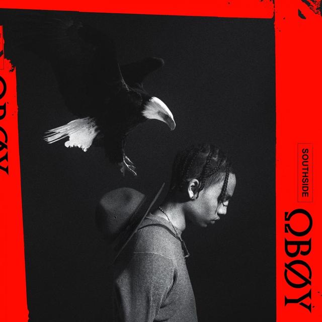 Album cover art for Cobra