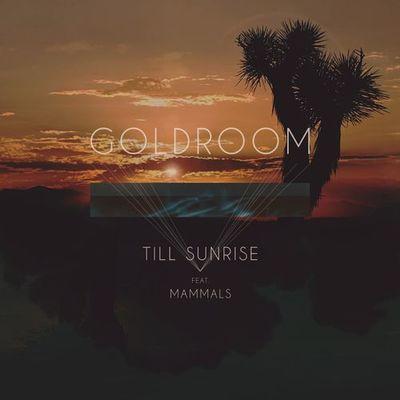 Album cover art for Till Sunrise (feat. Mammals)