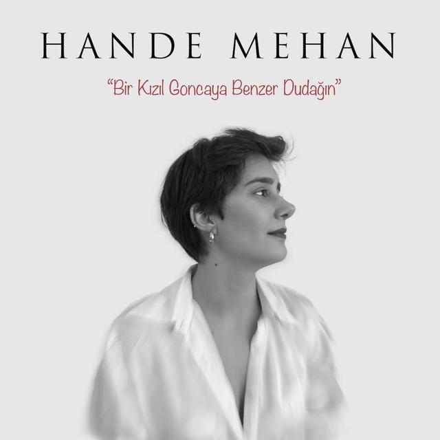 Album cover art for Bir Kızıl Goncaya Benzer Dudağın