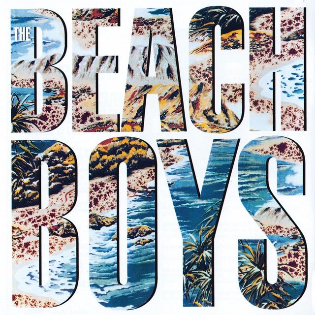 Album cover art for The Beach Boys