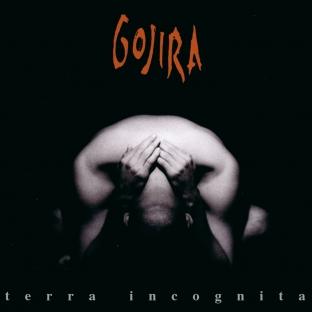 Album cover art for Terra Incognita