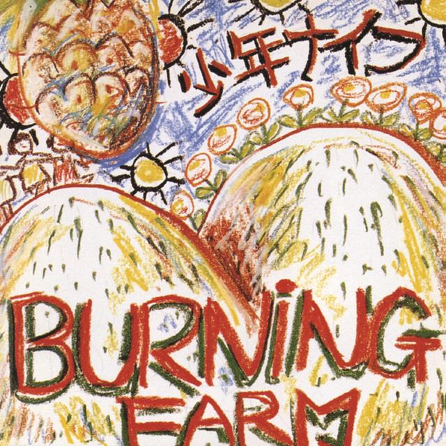 Album cover art for Burning Farm