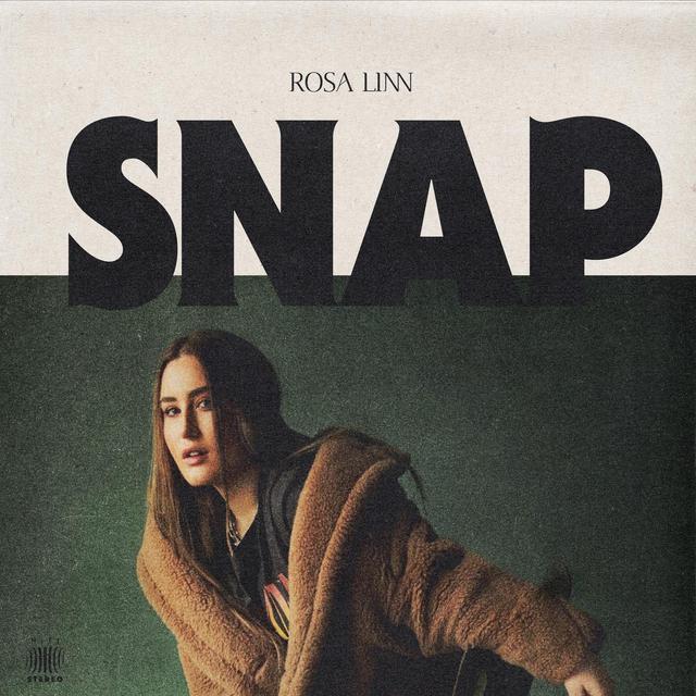 Album cover art for Snap