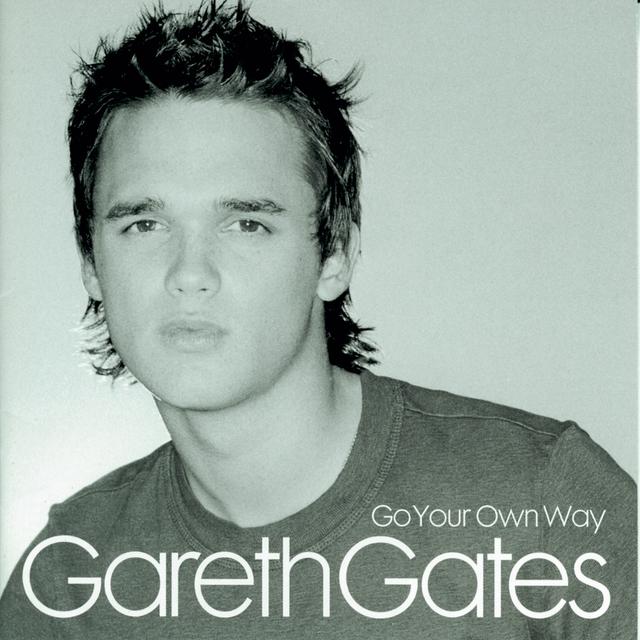 Album cover art for Go Your Own Way