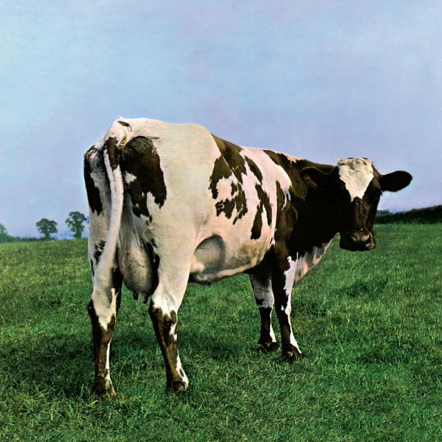 Album cover art for Atom Heart Mother