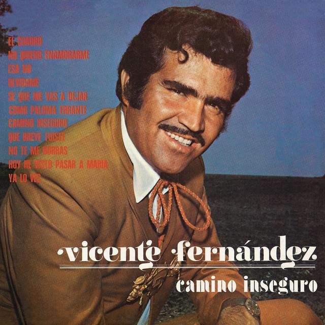 Album cover art for Camino Inseguro