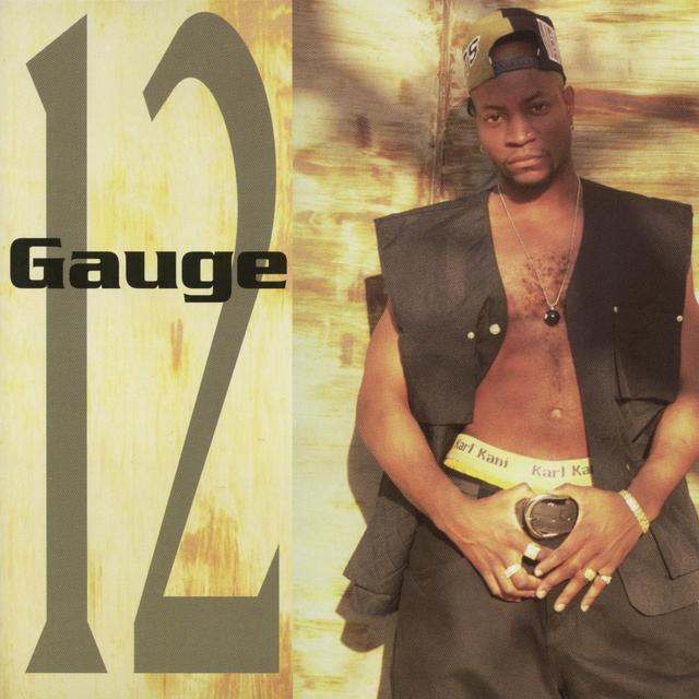 Album cover art for 12 Gauge