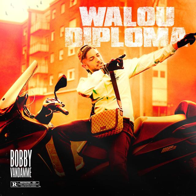 Album cover art for Walou Diploma