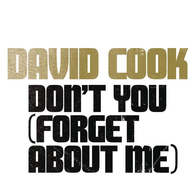 Album cover art for Don't You (Forget About Me)