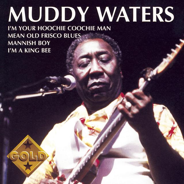 Album cover art for Muddy Waters