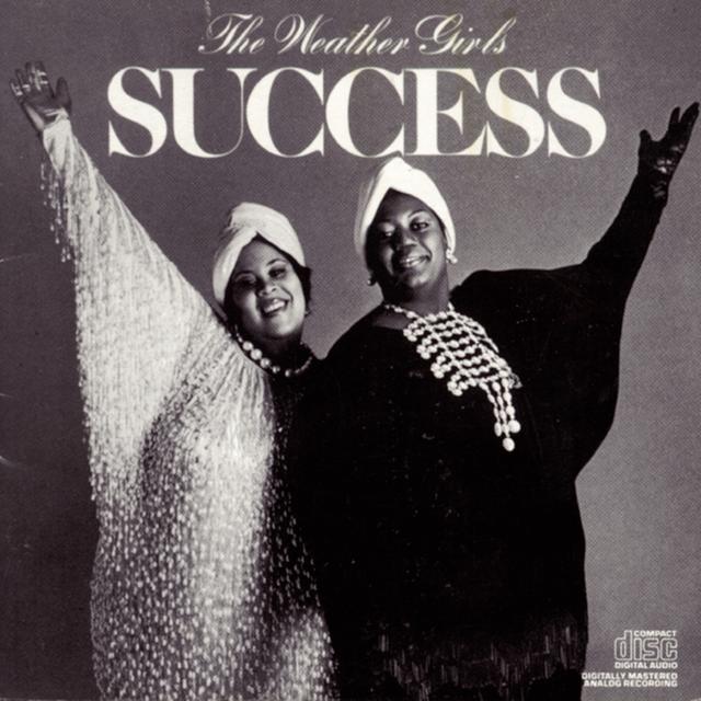 Album cover art for Success