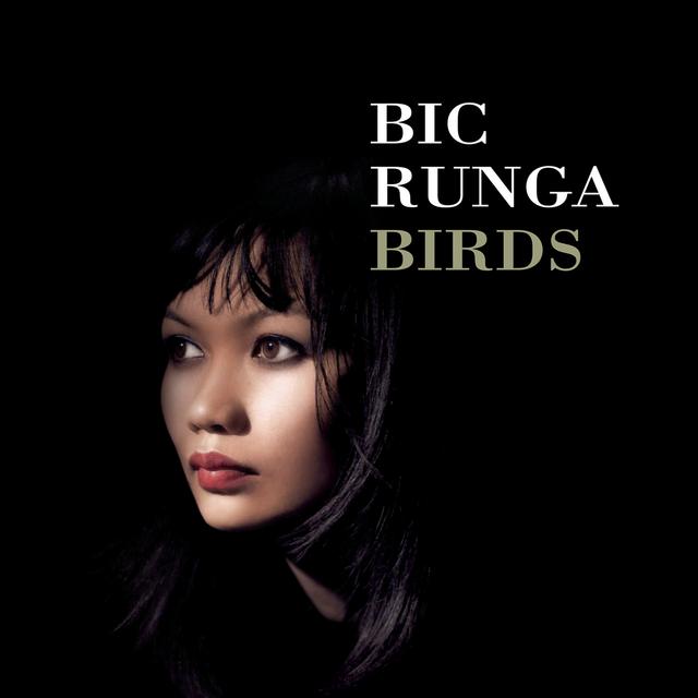 Album cover art for Birds