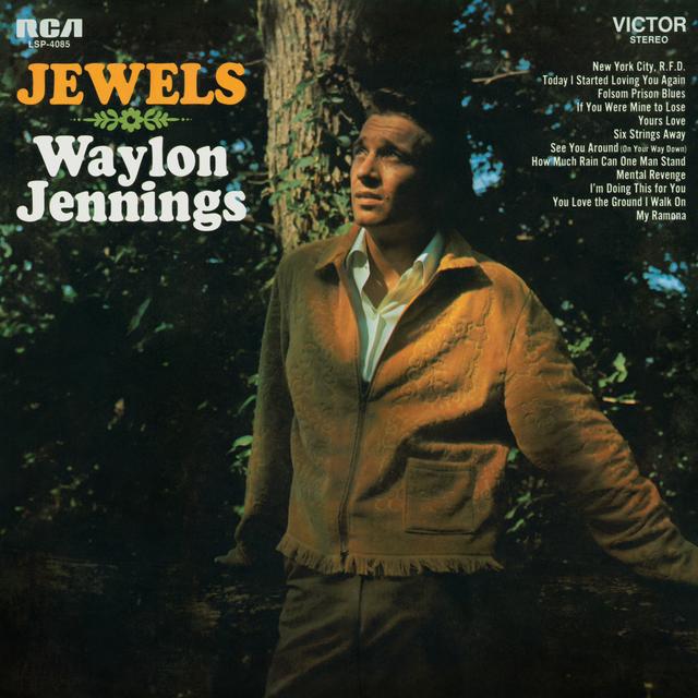 Album cover art for Jewels